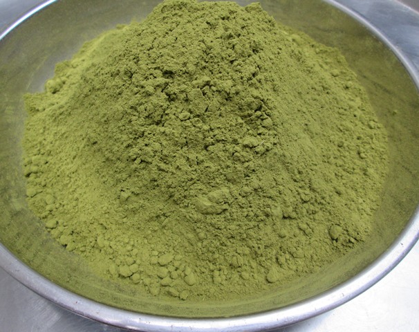 Bột Chùm Ngây