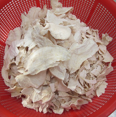 Sâm Tố Nữ
