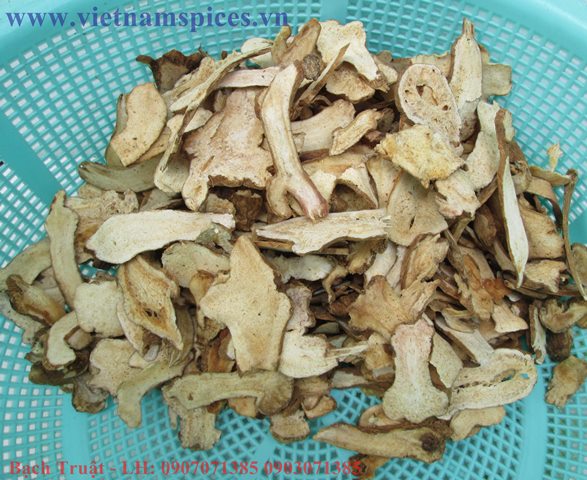 Bạch Truật