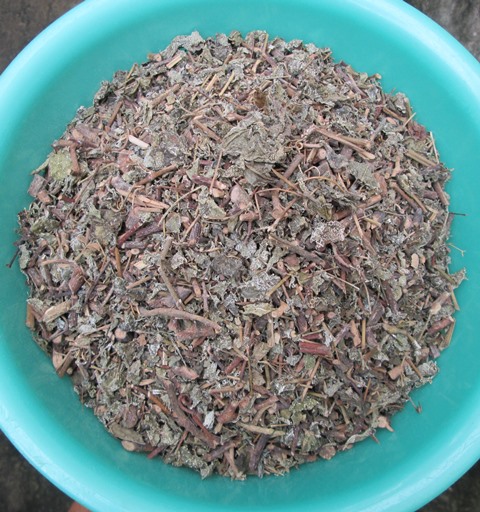 Trà Dây
